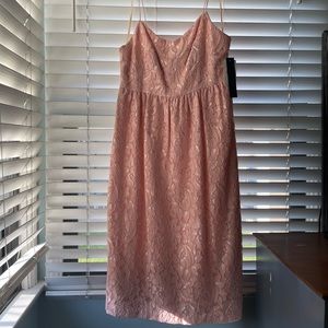 NWT Cynthia Steffe Lace dress
